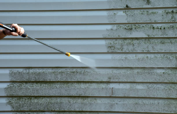 Best Toxic Mold Removal  in Franklin, KY