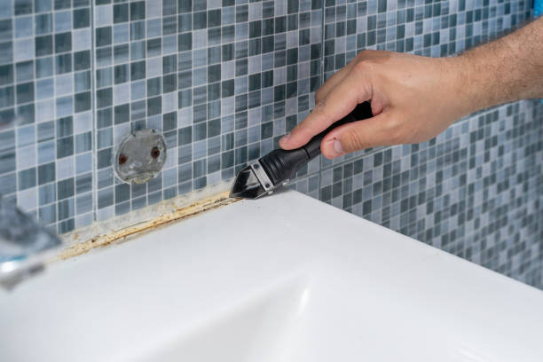 Reliable Franklin, KY Mold Removal Solutions